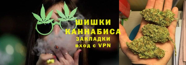 СК Сафоново