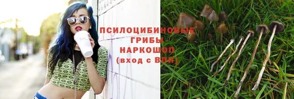 каннабис Костерёво