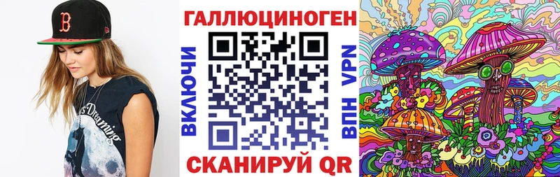 купить наркоту  Малгобек  Псилоцибиновые грибы Magic Shrooms 